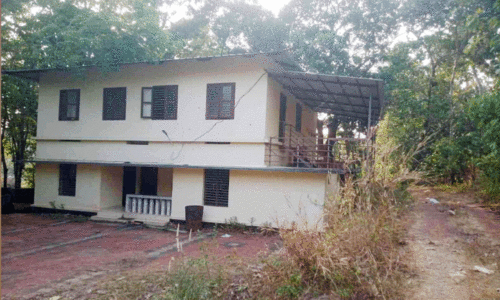 പഞ്ചായത്ത് തിരിഞ്ഞുനോക്കുന്നില്ല ; താഴം വാർഡിലെ പകൽവീട് നാശോന്മുഖം