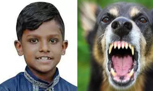 മൂന്നുമാസം മുമ്പ് തെരുവുനായ് ആക്രമിച്ചത് വീട്ടുകാരോട് പറഞ്ഞില്ല, ഒരാഴ്ച മുമ്പ് പനിയും വിറയലും; ആലപ്പുഴയിൽ പേവിഷബാധയേറ്റ വിദ്യാർഥി മരിച്ചു