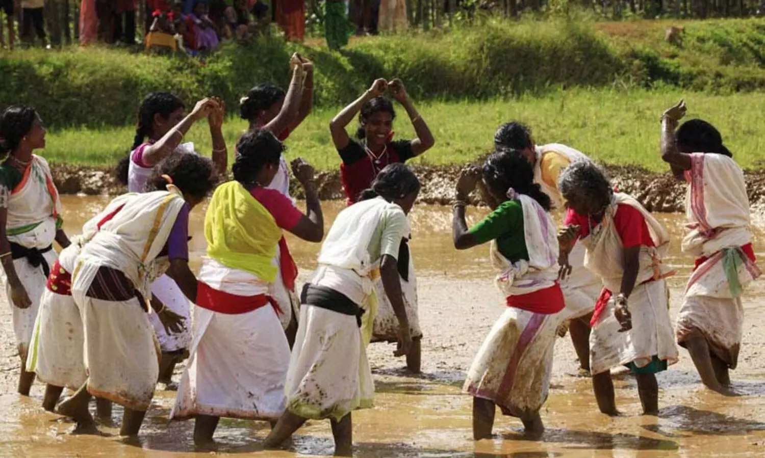 ആദിവാസികൾക്കായുള്ള സേഫ് പദ്ധതി: 2022-24 ൽ അനുവദിച്ചത് 4572 വീടുകൾ, പൂർത്തിയാക്കിയത് 1287