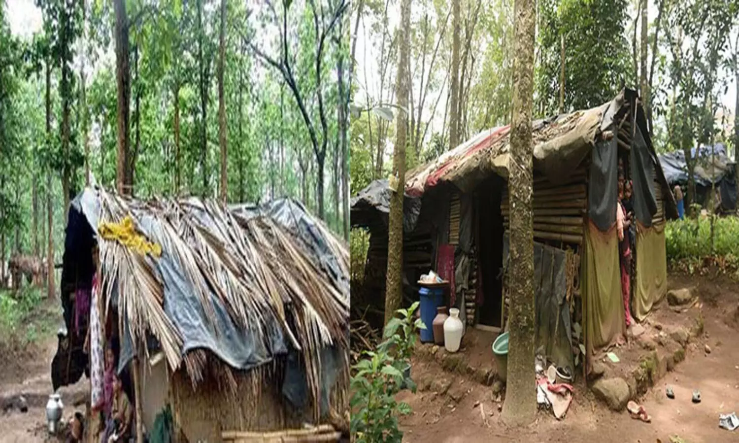സംസ്ഥാനത്ത് ഭൂരഹിതരായി പട്ടികജാതി കുടുംബങ്ങൾ -73,687, ആദിവാസികൾ- 5736