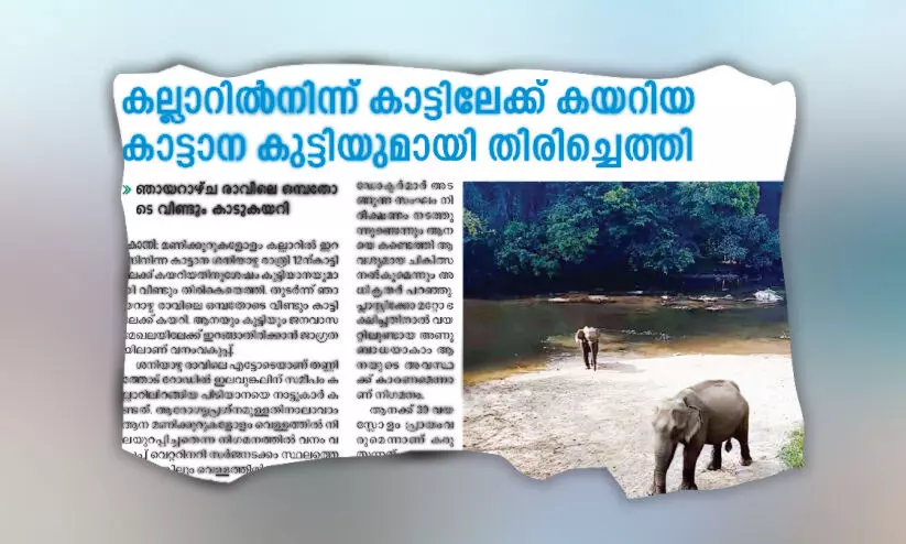 കാട്ടാന െചരിഞ്ഞ സംഭവം; കൃത്യസമയത്ത് ചികിത്സ നൽകിയില്ലെന്ന് പരാതി കാട്ടാന െചരിഞ്ഞ സംഭവം; കൃത്യസമയത്ത് ചികിത്സ നൽകിയില്ലെന്ന് പരാതി