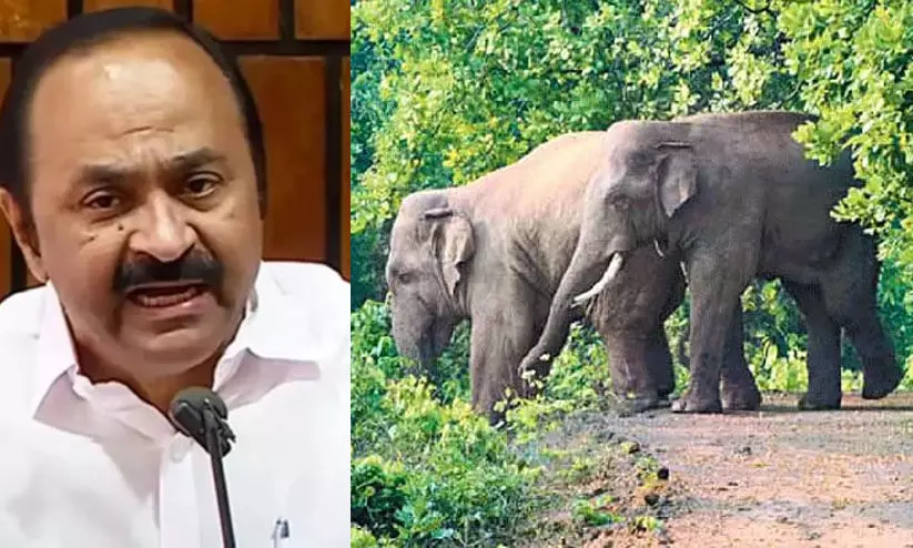 സര്‍ക്കാരിന് നിസംഗത; വന്യജീവി ആക്രമണങ്ങളില്‍ നിന്നും ജനങ്ങളെ രക്ഷിക്കാന്‍ നടപടി സ്വീകരിക്കുന്നില്ല- വി.ഡി. സതീശൻ