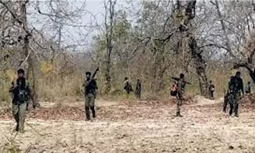 കൊടുംകാട്ടിലൂടെ 60 കി.മീ നടത്തം, താണ്ടാനെടുത്തത് 48 മണിക്കൂർ; 31 മാവോവാദികൾ കൊല്ലപ്പെട്ട ഓപറേഷൻ നടന്നതിങ്ങനെ