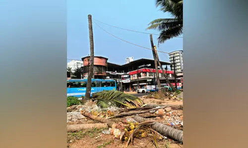 Mananchira vellimadukunnu road
