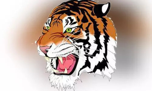 കാമറകളിലും കുടുങ്ങാതെ തലപ്പുഴ കടുവ