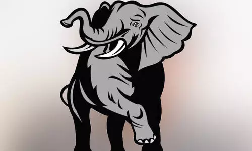 ഇടുക്കിയിൽ ഒരാഴ്ചക്കിടെ കാട്ടാന ചവിട്ടിയരച്ചത്​ രണ്ട്​ ജീവൻ