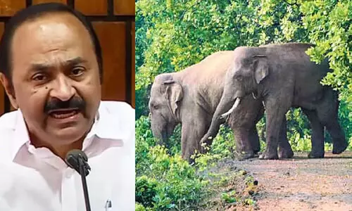 സര്‍ക്കാരിന് നിസംഗത; വന്യജീവി ആക്രമണങ്ങളില്‍ നിന്നും ജനങ്ങളെ രക്ഷിക്കാന്‍ നടപടി സ്വീകരിക്കുന്നില്ല- വി.ഡി. സതീശൻ