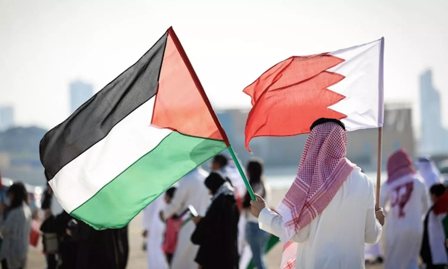 Gaza Ceasefire, National Campaign