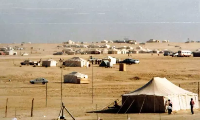 representative image representative image