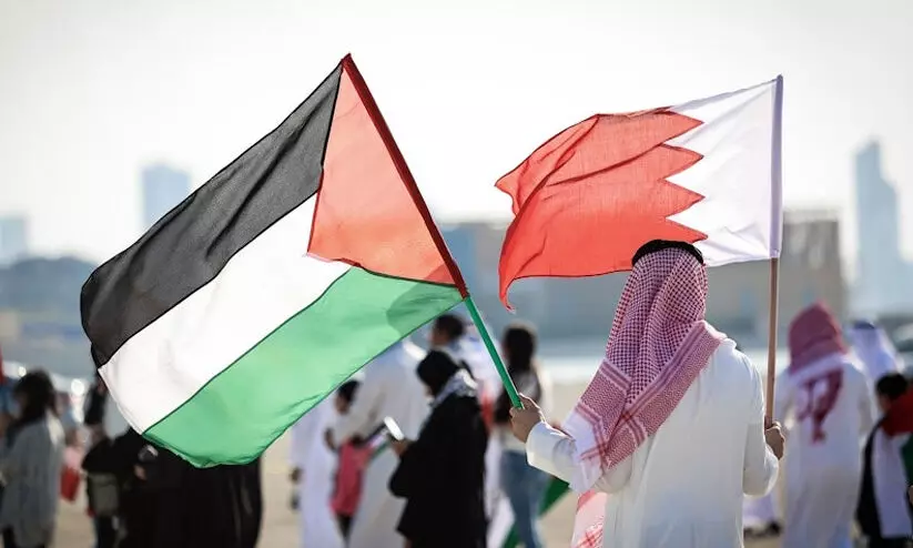 Gaza Ceasefire, National Campaign Gaza Ceasefire, National Campaign