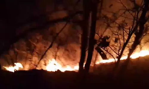 വിലങ്ങാട് വനഭൂമിയിൽ കാട്ടു തീ