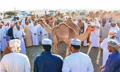 ആ​ഘോ​ഷ രാ​വു​ക​ളി​ല​ലി​ഞ്ഞ് വ​ട​ക്ക​ന്‍ ശ​ര്‍ഖി​യ