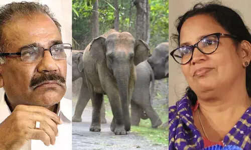 വന്യമൃഗ ആക്രമണം: സംസ്ഥാനത്ത് 2015 മുതൽ 2024 മാർച്ച് വരെ ജീവൻ നഷ്ടമായത് 977 പേർക്ക്