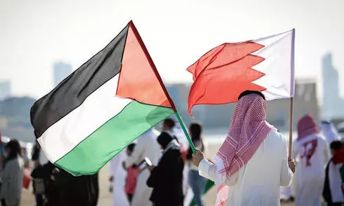 Gaza Ceasefire, National Campaign