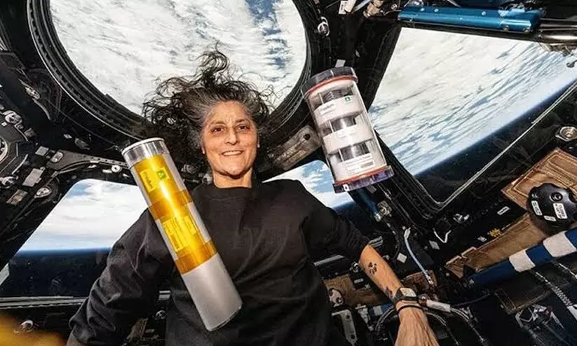 sunita williams