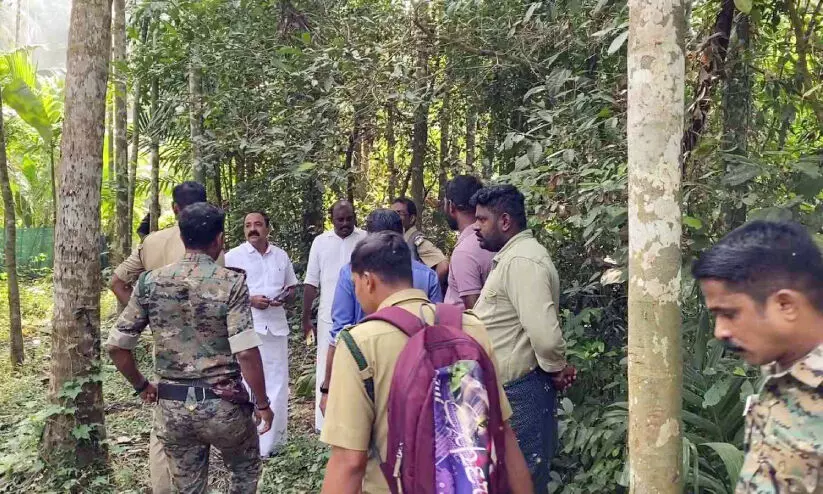 പുലിപ്പേടിയിൽ വല്ലത്തായ് പാറ