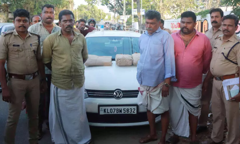 കഞ്ചാവുമായി മൂന്നുപേർ പിടിയിൽ കഞ്ചാവുമായി മൂന്നുപേർ പിടിയിൽ