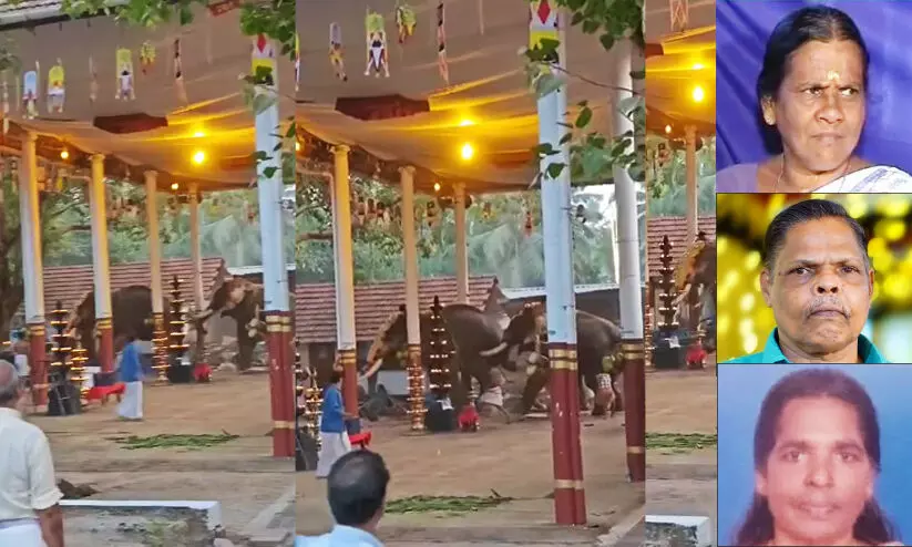 Koyilandy Elephant Stampede