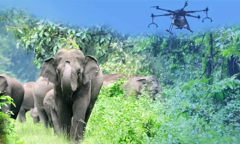 Human-Wildlife Conflict, Drone Surveillance Human-Wildlife Conflict, Drone Surveillance