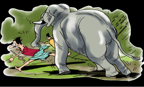 മരണച്ചൂരടിക്കുന്ന മലമടക്കുകൾ; ആനപ്പേടിയിൽ ഇവർക്ക് ഉറക്കമില്ല