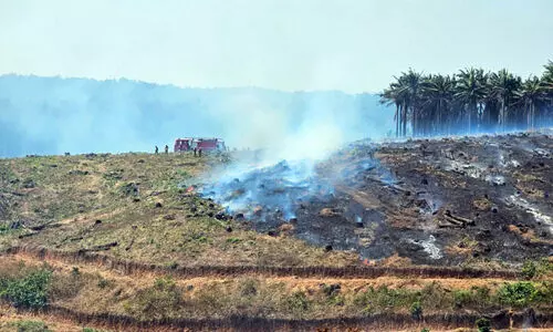 രണ്ടാം ദിനവും കെട്ടടങ്ങാതെ എണ്ണപ്പനത്തോട്ടത്തിലെ തീ