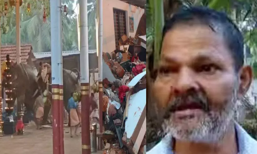 ചേട്ടന് കാലിന് ഒരുവിരലില്ല, കസേരയിലിരുന്ന് ആനയുടെ ഫോട്ടോ എടുക്കുകയായിരുന്നു, ഓടി രക്ഷപ്പെടാൻ ശ്രമിച്ചപ്പോൾ വീണുപോയി; മരിച്ച രാജന്റെ സഹോദരൻ ചേട്ടന് കാലിന് ഒരുവിരലില്ല, കസേരയിലിരുന്ന് ആനയുടെ ഫോട്ടോ എടുക്കുകയായിരുന്നു, ഓടി രക്ഷപ്പെടാൻ ശ്രമിച്ചപ്പോൾ വീണുപോയി; മരിച്ച രാജന്റെ സഹോദരൻ