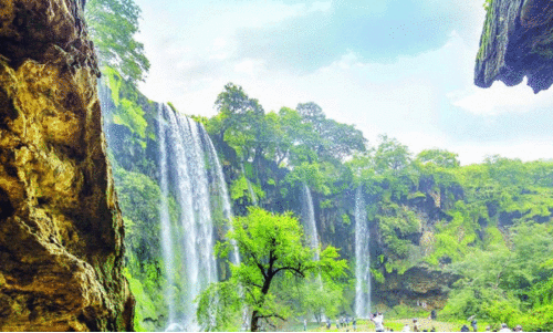 ‘പ​ച്ച​പി​ടി​ച്ച്’ ഖ​രീ​ഫ് സീ​സ​ൺ...