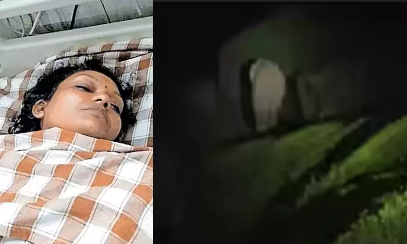 വീണ്ടും പടയപ്പയുടെ പരാക്രമം; വനിത മേക്കപ് ആർട്ടിസ്റ്റിന്റെ ഇടുപ്പെല്ല് ഒടിഞ്ഞു