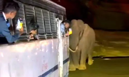 ബസിന് നേരെ പടയപ്പയുടെ പരാക്രമം; ആന മദപ്പാടിലെന്ന് വനം വകുപ്പ് ബസിന് നേരെ പടയപ്പയുടെ പരാക്രമം; ആന മദപ്പാടിലെന്ന് വനം വകുപ്പ്