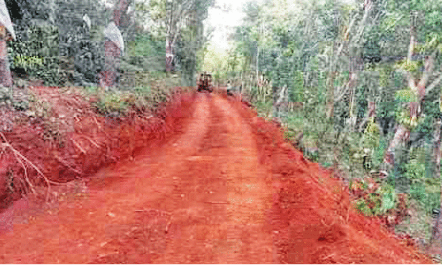 യാത്രാസൗകര്യത്തിനായി ഒന്നിച്ച് നാട്ടുകാർ