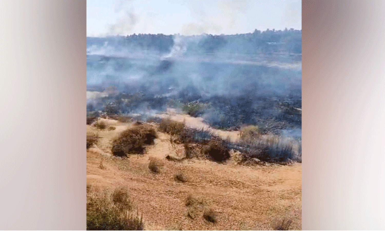 ഒ​റ്റ​പ്പാ​ലത്ത് നി​ള​യി​ൽ അ​ഗ്നി​ബാ​ധ തു​ട​ർ​ക്ക​ഥ;  ത​ക​രാ​റി​ലാ​യി ദേ​ശാ​ട​ന  പ​ക്ഷി​ക​ളു​ടെ ആ​വാ​സ വ്യ​വ​സ്ഥ