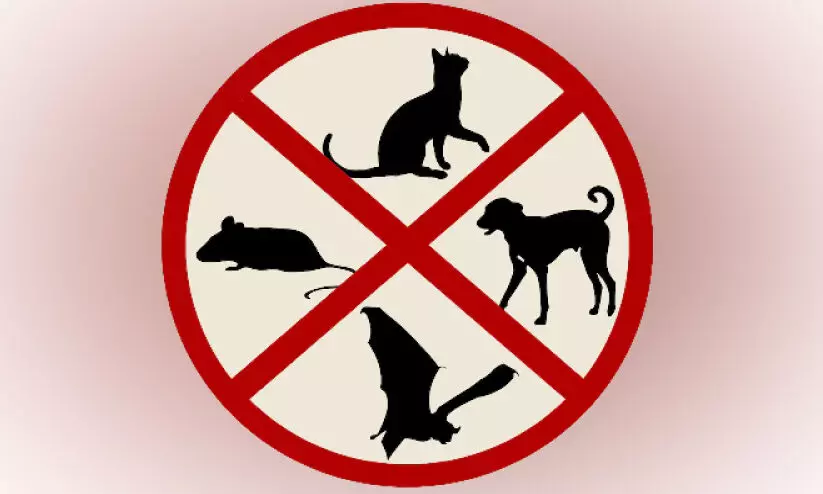 പേവിഷ വിമുക്ത കോട്ടയം; പദ്ധതിക്ക് തുടക്കമായി