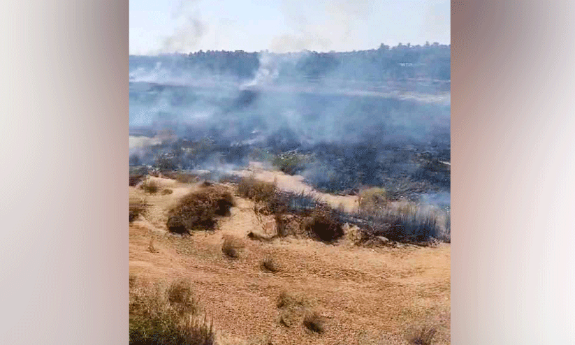 ഒ​റ്റ​പ്പാ​ലത്ത് നി​ള​യി​ൽ അ​ഗ്നി​ബാ​ധ തു​ട​ർ​ക്ക​ഥ;  ത​ക​രാ​റി​ലാ​യി ദേ​ശാ​ട​ന  പ​ക്ഷി​ക​ളു​ടെ ആ​വാ​സ വ്യ​വ​സ്ഥ
