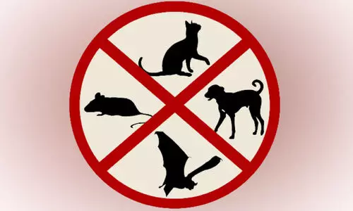 പേവിഷ വിമുക്ത കോട്ടയം; പദ്ധതിക്ക് തുടക്കമായി