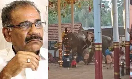 കൊയിലാണ്ടിയിൽ ആനയിടഞ്ഞുണ്ടായ അപകടം: മരിച്ചവർക്ക് ക്ഷേത്രം നഷ്ടപരിഹാരം നൽകണമെന്ന് മന്ത്രി എ.കെ.ശശീന്ദ്രന്‍
