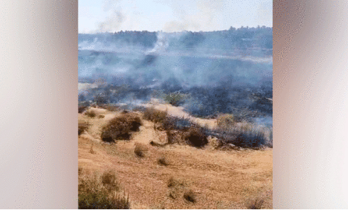 ഒ​റ്റ​പ്പാ​ലത്ത് നി​ള​യി​ൽ അ​ഗ്നി​ബാ​ധ തു​ട​ർ​ക്ക​ഥ;  ത​ക​രാ​റി​ലാ​യി ദേ​ശാ​ട​ന  പ​ക്ഷി​ക​ളു​ടെ ആ​വാ​സ വ്യ​വ​സ്ഥ