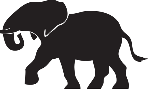 കാരികുളം കടവിൽ വീണ്ടും കാട്ടാനയിറങ്ങി കൃഷി നശിപ്പിച്ചു കാരികുളം കടവിൽ വീണ്ടും കാട്ടാനയിറങ്ങി കൃഷി നശിപ്പിച്ചു