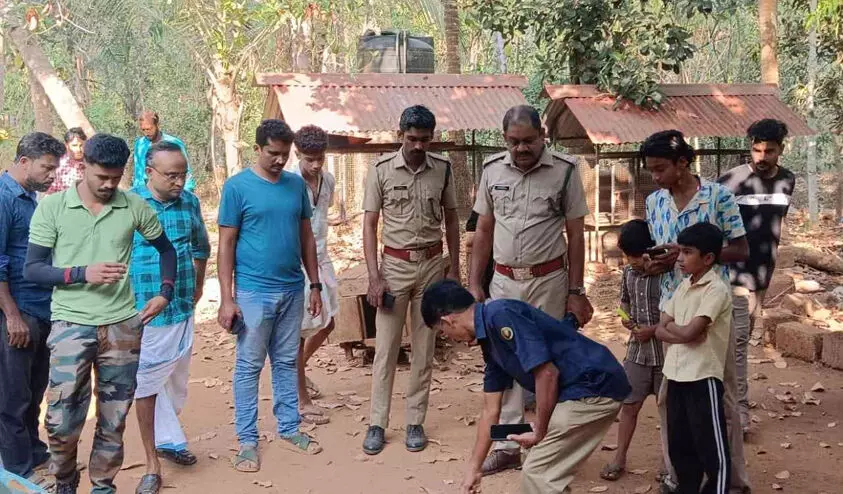 പട്ടാമ്പിയിൽ പുലിയെ കണ്ടെന്ന് അഭ്യൂഹം; പരിശോധന നടത്തി വനംവകുപ്പ് പട്ടാമ്പിയിൽ പുലിയെ കണ്ടെന്ന് അഭ്യൂഹം; പരിശോധന നടത്തി വനംവകുപ്പ്