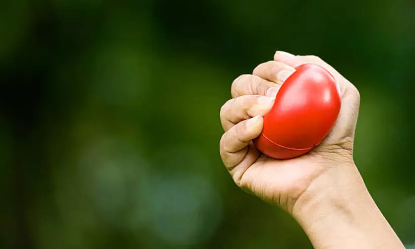 കൈക്കരുത്ത് കൂട്ടാം;   ഈ 6 ലളിത വ്യായാമങ്ങൾ ചെയ്യൂ