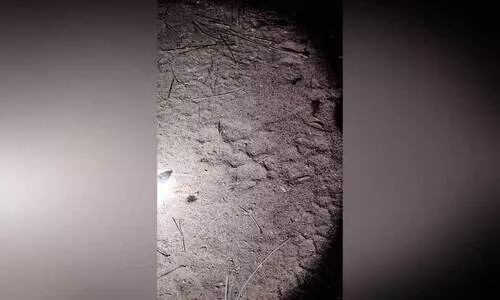 ജ​ന​വാ​സ മേ​ഖ​ല​യി​ൽ പു​ലി ഭീ​തി