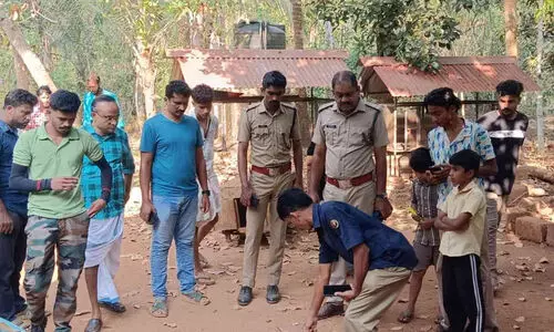 പട്ടാമ്പിയിൽ പുലിയെ കണ്ടെന്ന് അഭ്യൂഹം; പരിശോധന നടത്തി വനംവകുപ്പ്