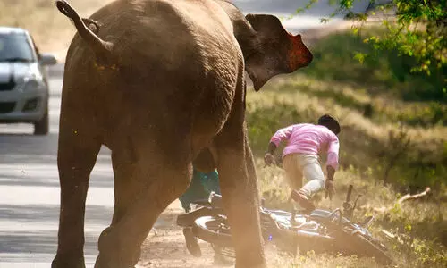 കാടിറങ്ങുന്ന ചോദ്യങ്ങൾ