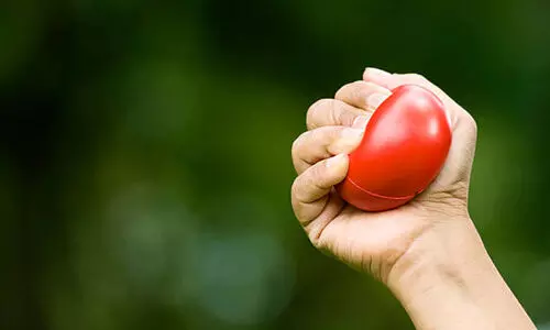 കൈക്കരുത്ത് കൂട്ടാം;   ഈ 6 ലളിത വ്യായാമങ്ങൾ ചെയ്യൂ