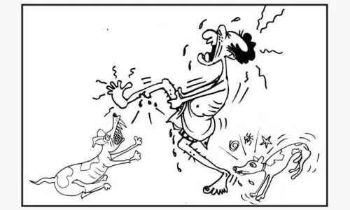 തെരുവുനായ്​ ആക്രമണം രൂക്ഷം; ഒരുവർഷത്തിനിടെ കടിയേറ്റത് 32,086 പേർക്ക്