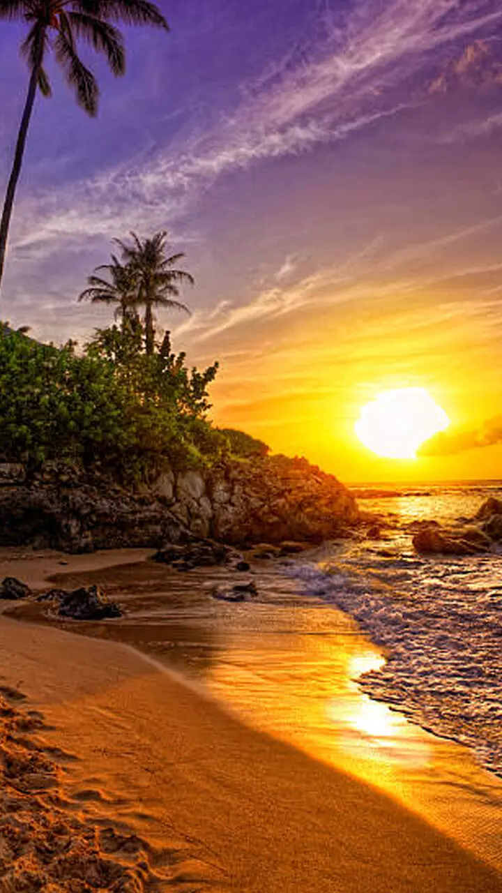 വേനൽക്കാല രോഗങ്ങളെ കരുതണം; ഈ കാര്യങ്ങളിൽ മുൻകരുതലെടുക്കാം