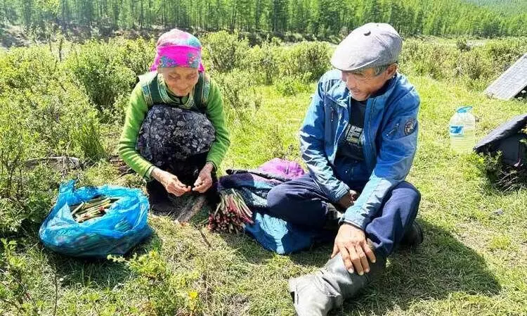 ന​ഷ്ട​ക്ക​ച്ച​വ​ടം