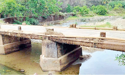 പഴക്കം അര നൂറ്റാണ്ട്; തകർച്ച ഭീതിയിൽ മാമ്പറ്റ പാലം