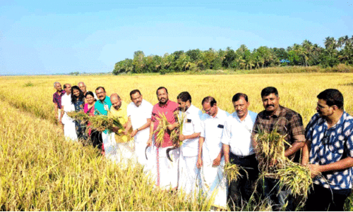 സ്നേഹം വിളയിച്ച് സാലിഹ്; ആശ്വാസം പകരുക ആശുപത്രിയിലെ രോഗികൾക്ക്