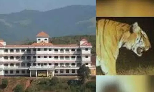 കടുവയുണ്ട്, ക്ലാസില്ല! വയനാട് തലപ്പുഴ എൻജിനീയറിങ് കോളജിന് ഒരാഴ്ച അവധി