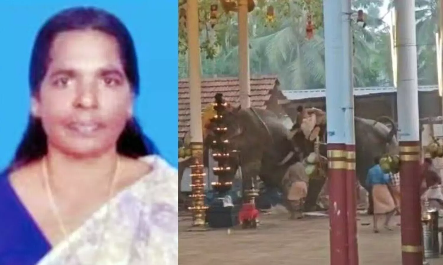 കൊയിലാണ്ടിയിൽ ആന ഇടഞ്ഞ സംഭവം: മരിച്ച ലീലയുടെ ആഭരണങ്ങൾ കാണാനില്ലെന്ന് പരാതി